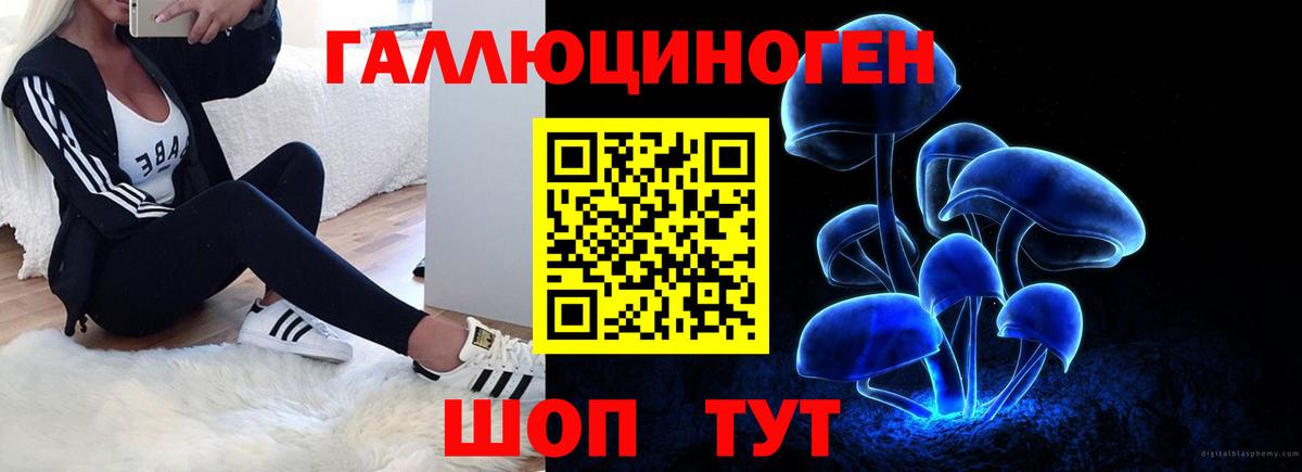 Псилоцибиновые грибы GOLDEN TEACHER  Галлюциногенные грибы мицелий  Вход с VPN  Лениногорск 